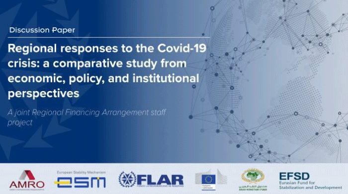 Discussion paper: Regional responses to the Covid-19 crisis